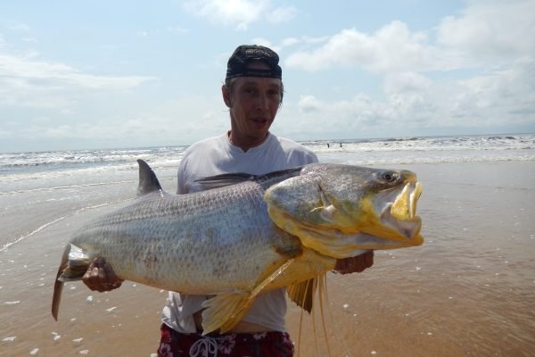 African Treatfin