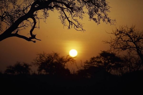 trekking cameroon